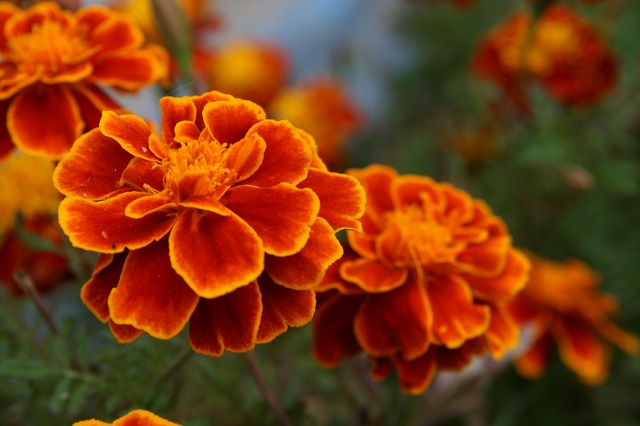 ファイル 30-3.jpg