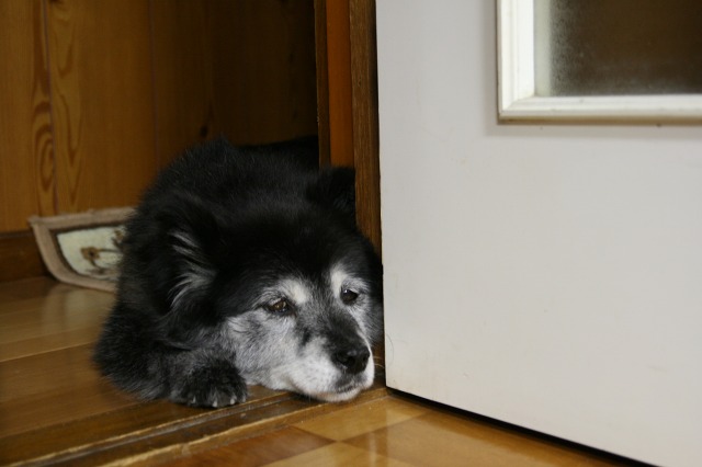 ファイル 31-2.jpg