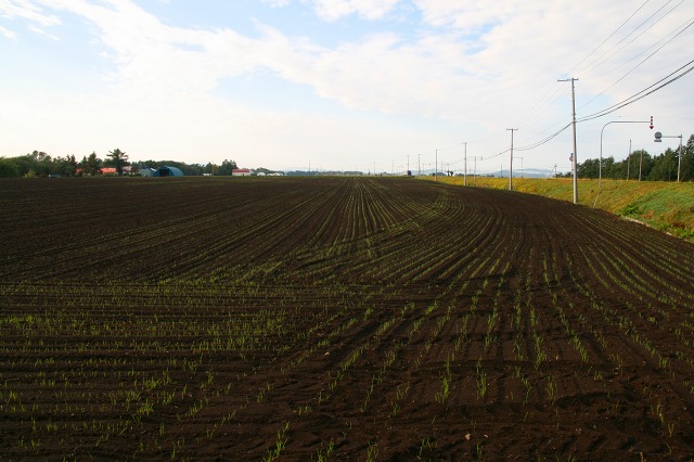 ファイル 32-1.jpg