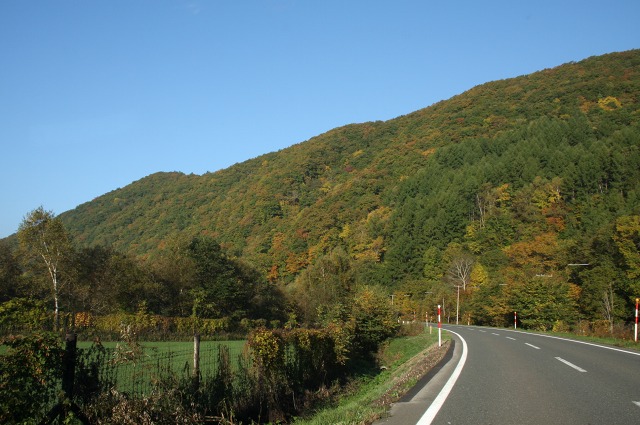 ファイル 36-1.jpg