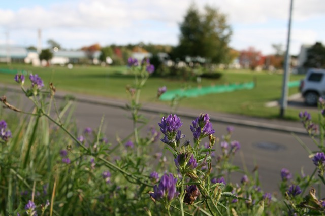 ファイル 38-3.jpg