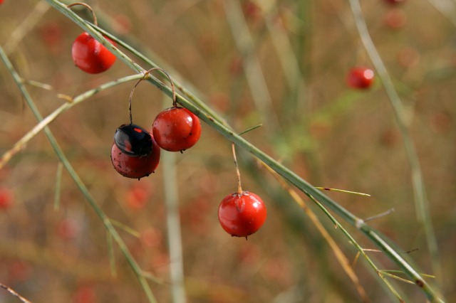 ファイル 38-4.jpg