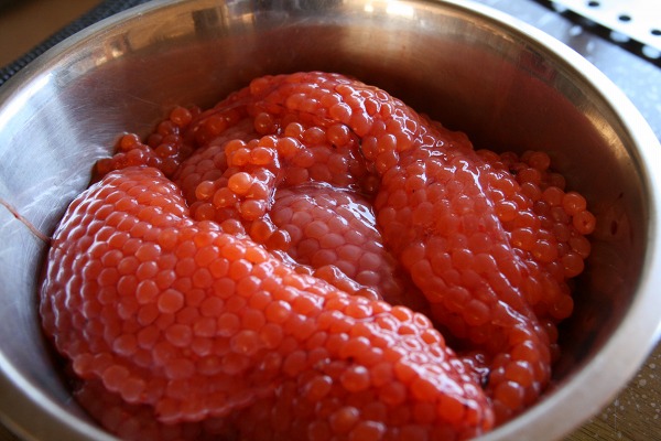 ファイル 39-5.jpg