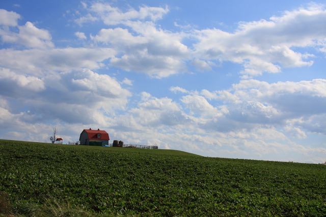 ファイル 41-1.jpg