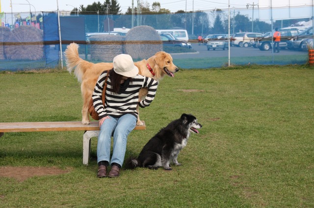 ファイル 41-5.jpg