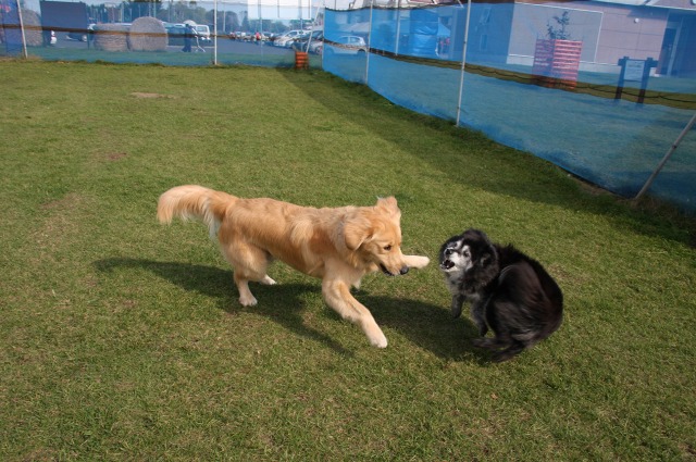 ファイル 43-1.jpg