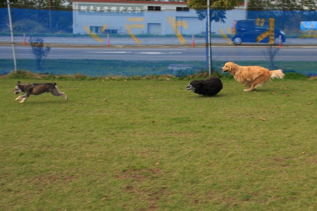 ファイル 43-4.jpg