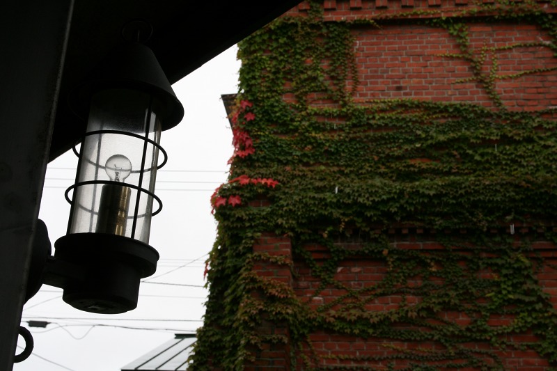 ファイル 45-4.jpg