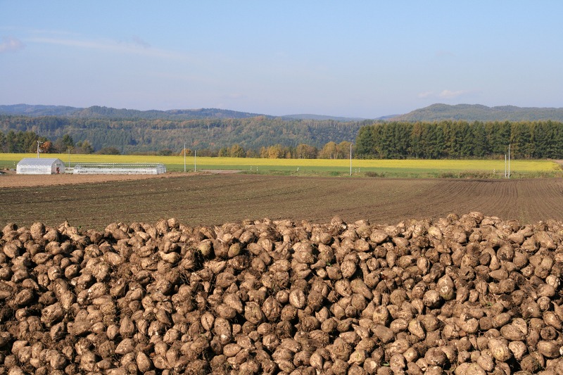 ファイル 46-2.jpg