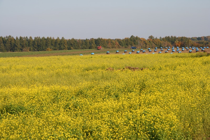 ファイル 46-3.jpg