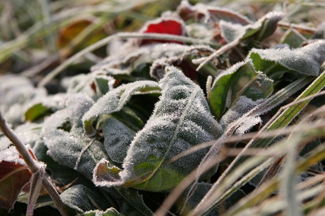 ファイル 50-1.jpg