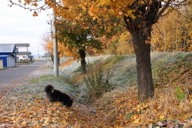 ファイル 50-4.jpg