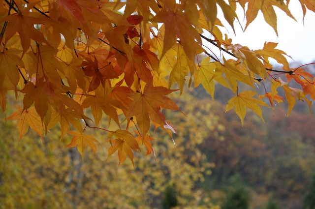 ファイル 54-3.jpg