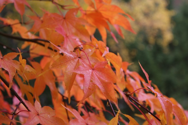 ファイル 54-4.jpg