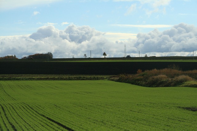 ファイル 55-3.jpg