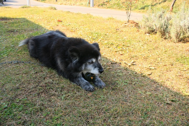 ファイル 57-1.jpg