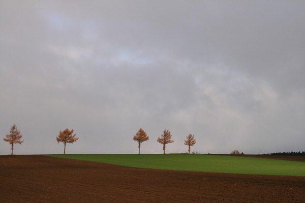 ファイル 60-1.jpg