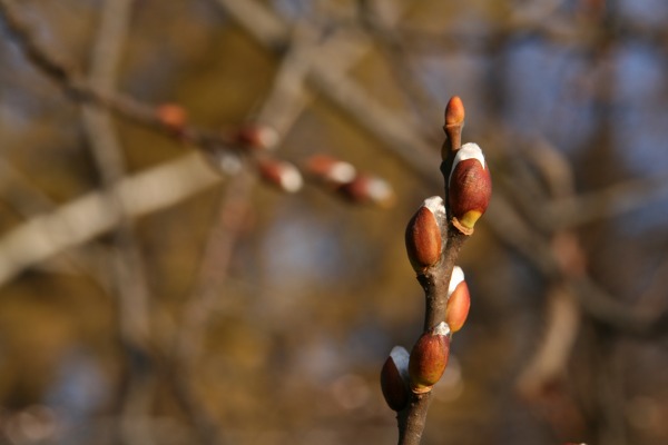 ファイル 61-2.jpg