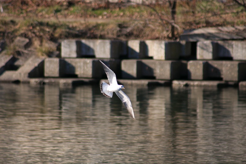 ファイル 63-3.jpg