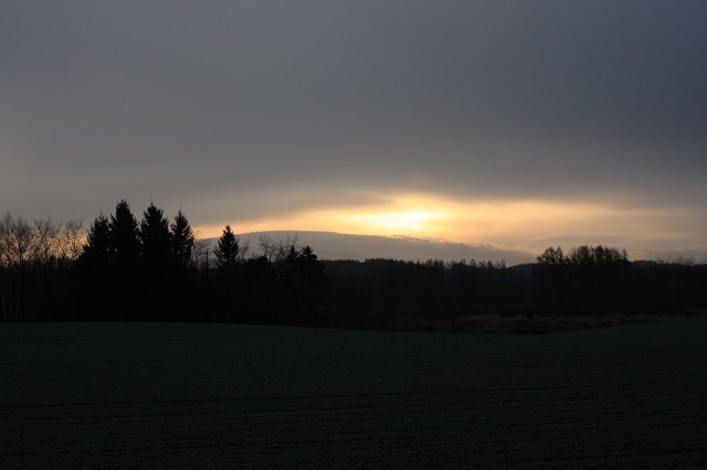 ファイル 67-2.jpg