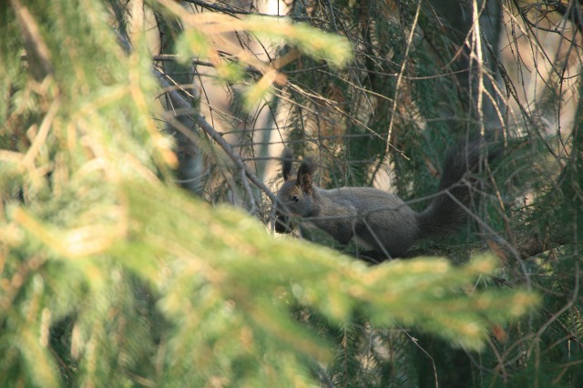 ファイル 69-1.jpg