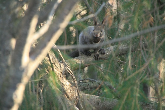 ファイル 69-2.jpg