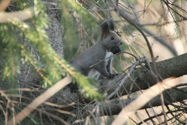 ファイル 69-4.jpg