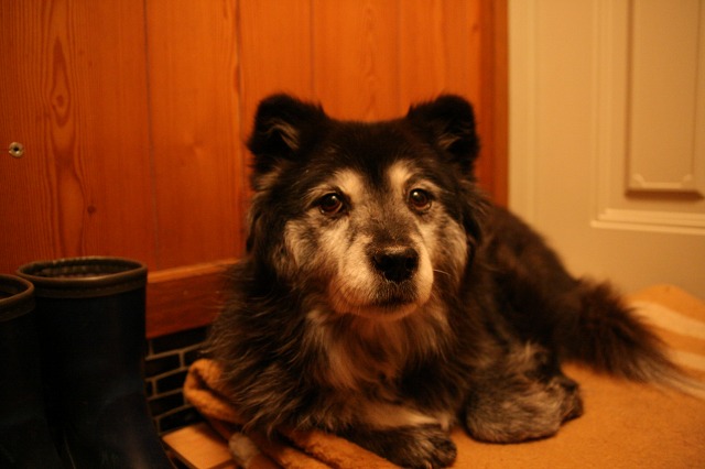 ファイル 72-3.jpg