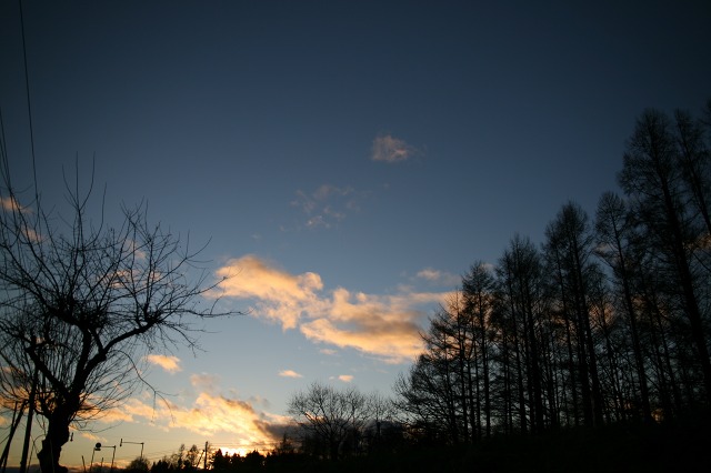 ファイル 73-2.jpg