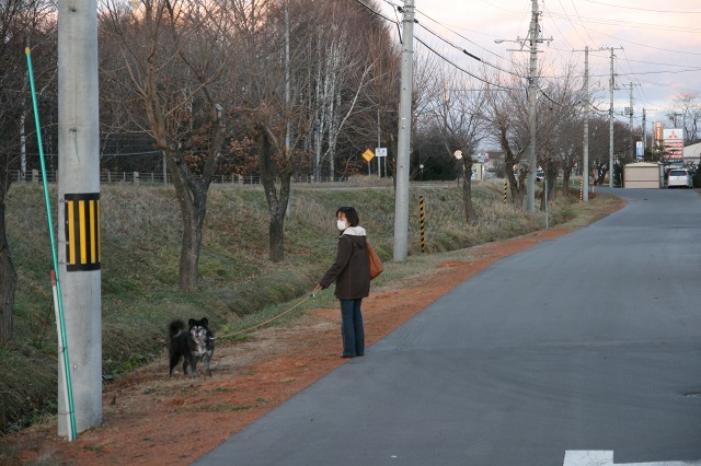 ファイル 73-4.jpg