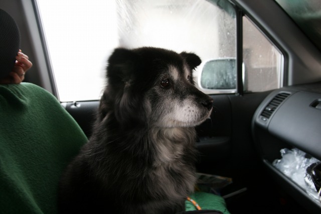 ファイル 74-2.jpg