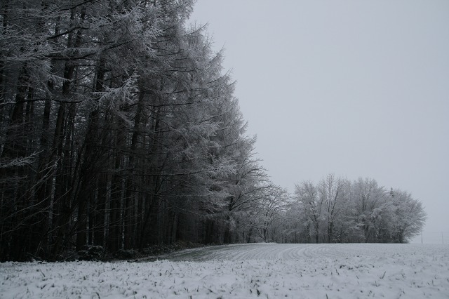 ファイル 76-2.jpg