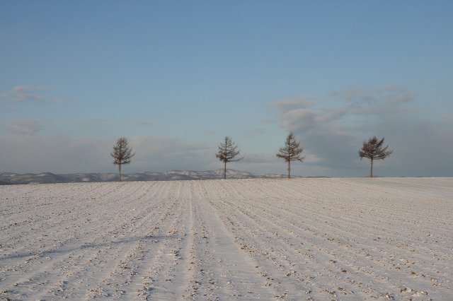 ファイル 79-3.jpg