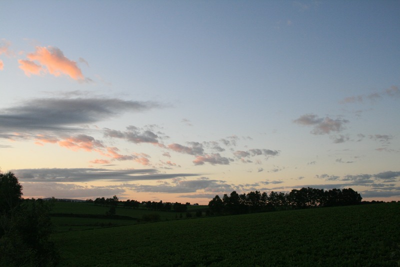 ファイル 8-2.jpg