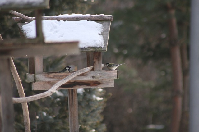 ファイル 80-1.jpg