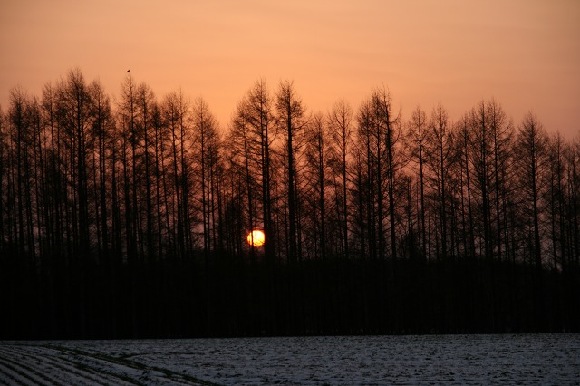 ファイル 82-2.jpg