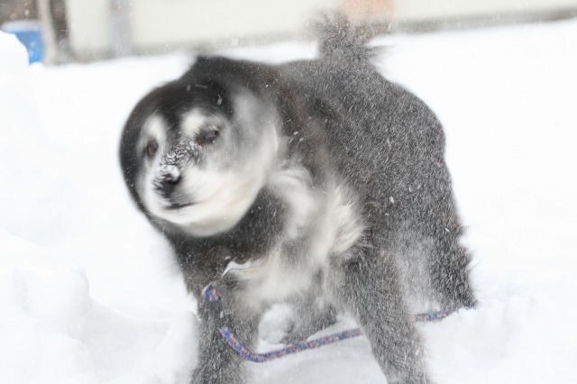 ファイル 86-3.jpg