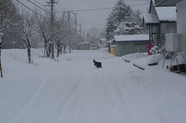 ファイル 87-2.jpg