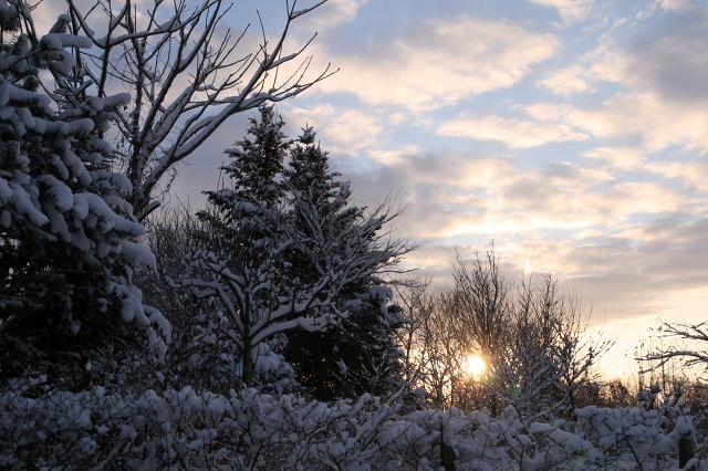 ファイル 88-2.jpg