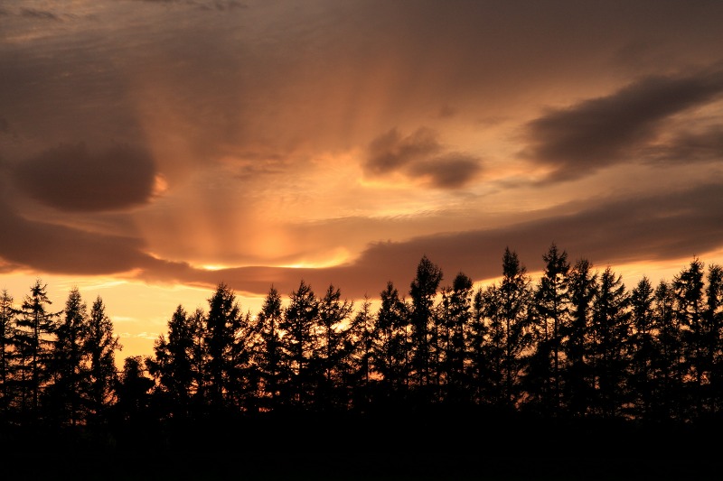 ファイル 9-2.jpg