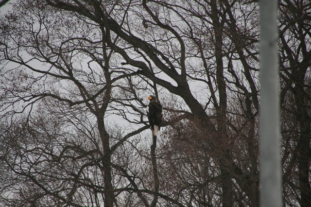 ファイル 96-1.jpg