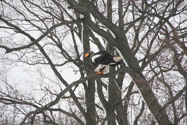 ファイル 96-2.jpg