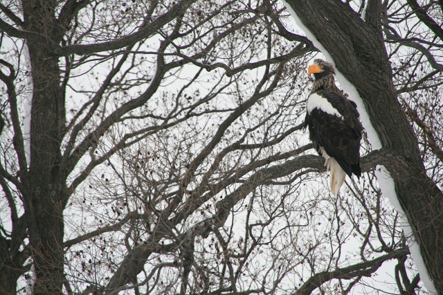 ファイル 96-3.jpg