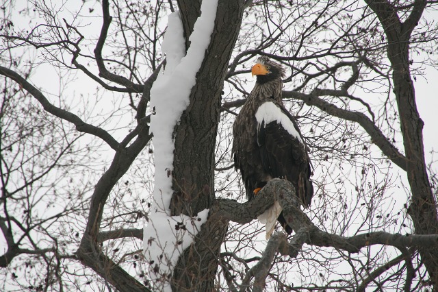 ファイル 96-5.jpg