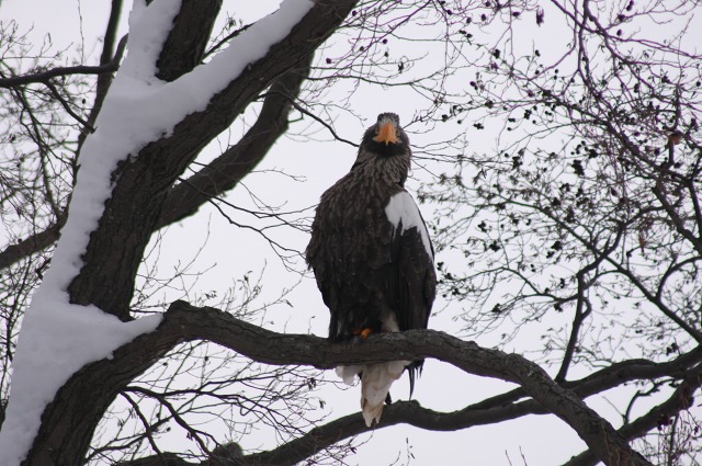 ファイル 97-2.jpg