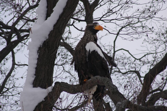 ファイル 97-3.jpg