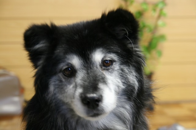 ファイル 99-2.jpg