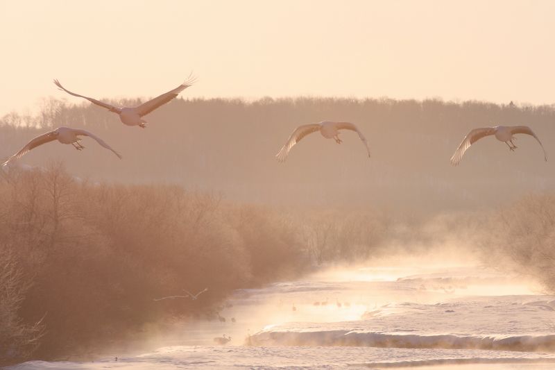 ファイル 365-4.jpg