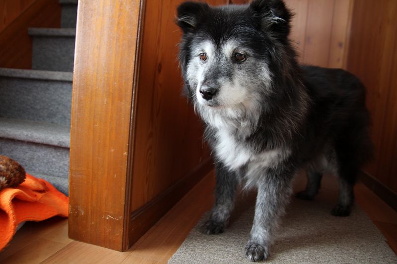 ファイル 366-3.jpg