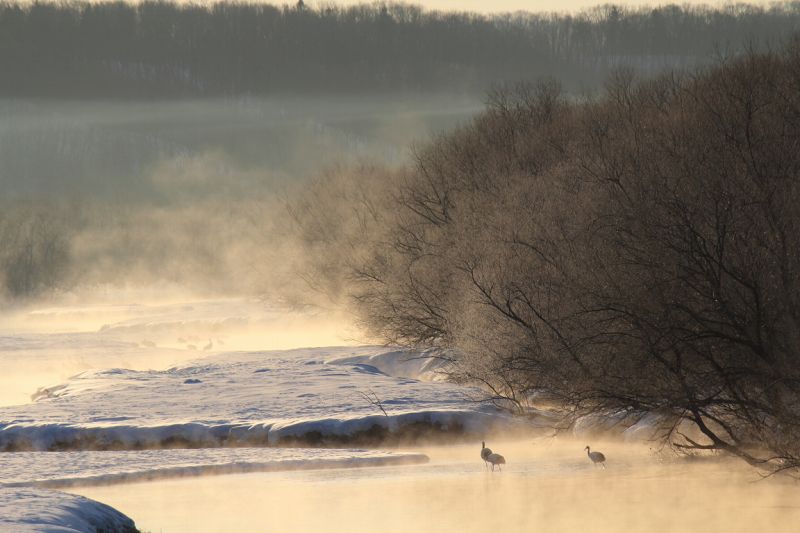 ファイル 367-1.jpg